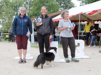 Concours d'agility,  les photos du dimanche