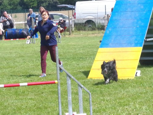 Concours d'agility, Montret, 23 juin 2024