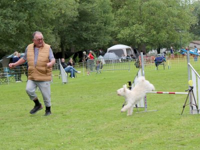 Concours d'agility,  les photos du dimanche