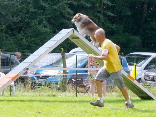 Concours d'agility, Sanvignes, 27 juillet 2024