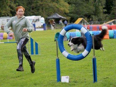 Concours d'agility,  les photos du dimanche