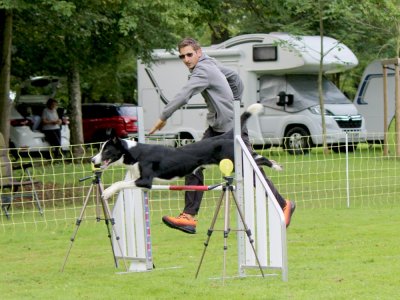 Concours d'agility,  les photos du dimanche