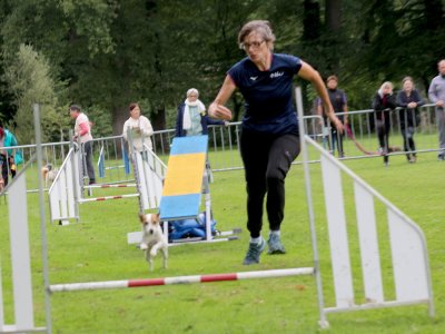 Concours d'agility, les photos du samedi