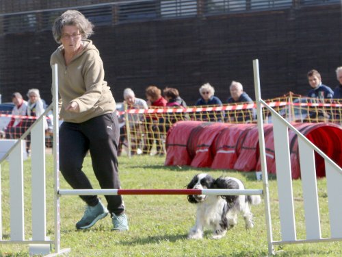 Concours d'agility, Fontaines 14 et 15 septembre 2024