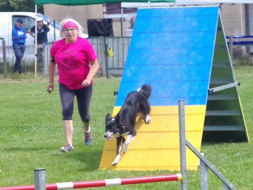 Concours d'agility, Montret, 23 juin 2024