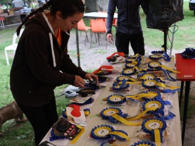Concours d'agility,  les photos de l'organisation