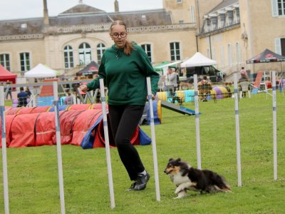 Concours d'agility,  les photos du dimanche