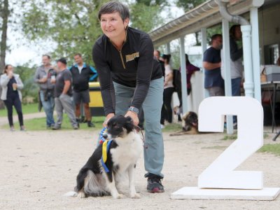 Concours d'agility,  les photos du dimanche