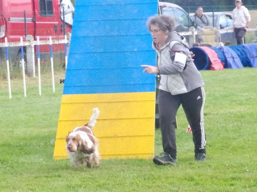 Concours d'agility, Montret, 23 juin 2024