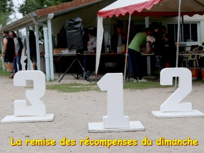 Concours d'agility,  les photos du dimanche