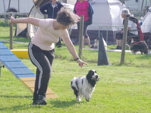 Concours d'agility, Montret, 23 juin 2024