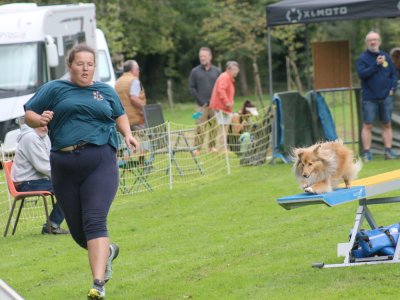 Concours d'agility, les photos du samedi