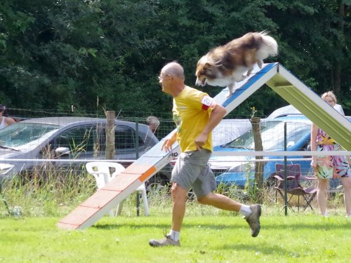 Concours d'agility, Sanvignes, 27 juillet 2024