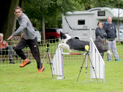 Concours d'agility,  les photos du dimanche