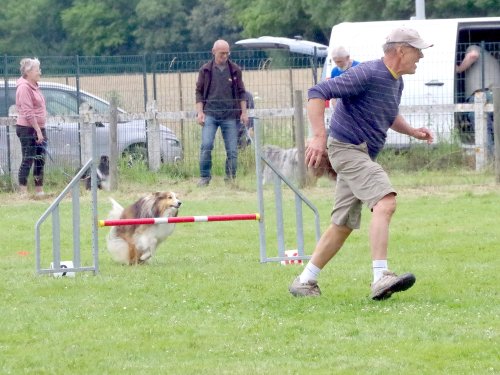 Concours d'agility, Montret, 23 juin 2024