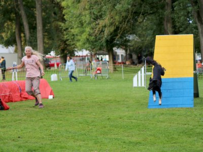 Concours d'agility,  les photos du dimanche