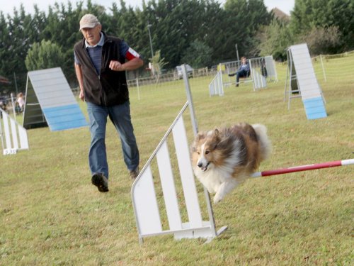 Concours d'agility, Fontaines 14 et 15 septembre 2024