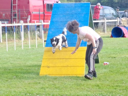 Concours d'agility, Montret, 23 juin 2024