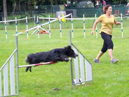 Concours d'agility, Sanvignes, 27 juillet 2024