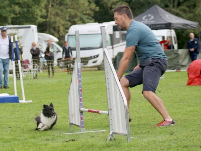 Concours d'agility, les photos du samedi