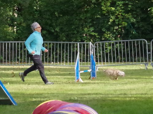 Concours d'agility, Châtenoy le royal 29 septembre 2024