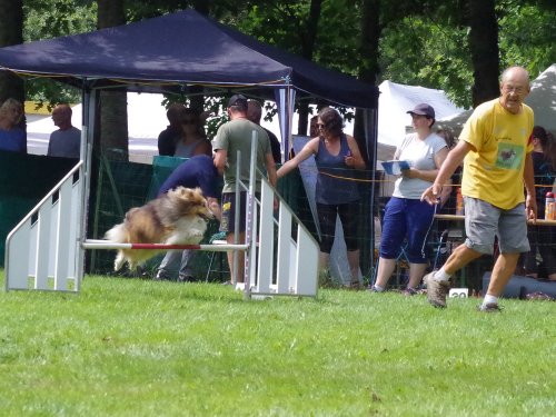 Concours d'agility, Sanvignes, 27 juillet 2024