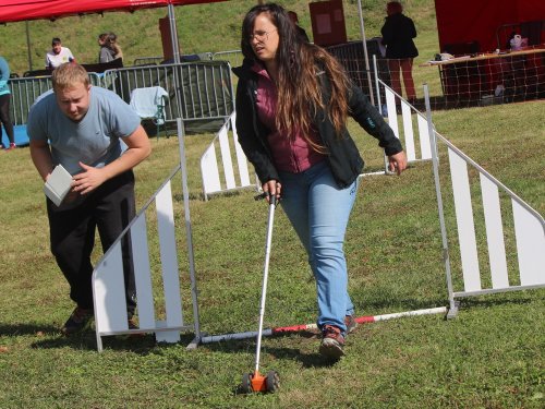 Concours d'agility, Fontaines 14 et 15 septembre 2024