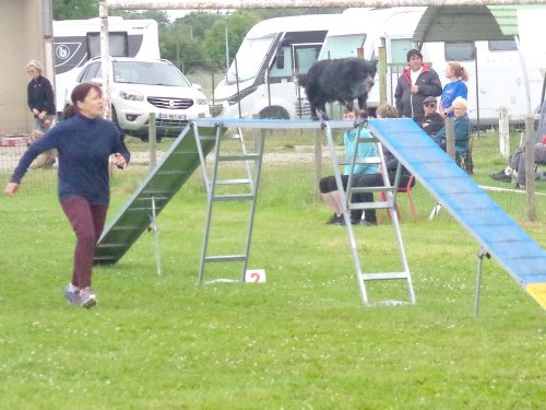 Concours d'agility, Montret, 23 juin 2024