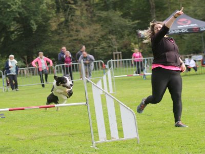 Concours d'agility, les photos du samedi