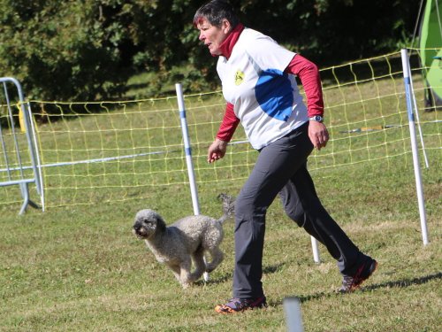 Concours d'agility, Fontaines 14 et 15 septembre 2024