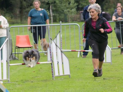 Concours d'agility, les photos du samedi