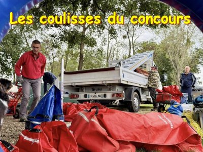 Concours d'agility,  les photos de l'organisation