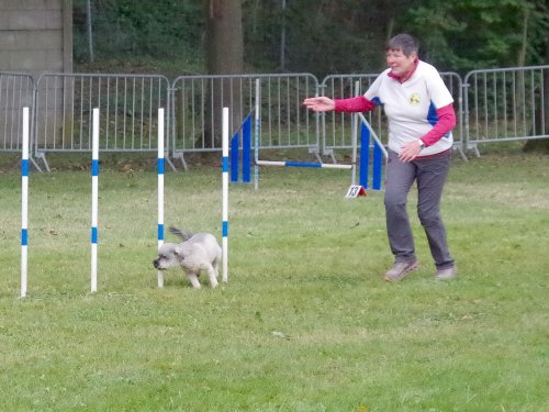 Concours d'agility, Châtenoy le royal 29 septembre 2024