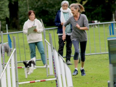 Concours d'agility, les photos du samedi