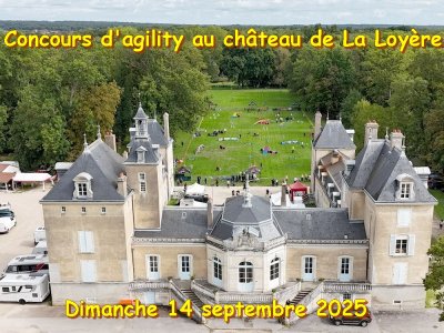 Concours d'agility,  les photos du dimanche