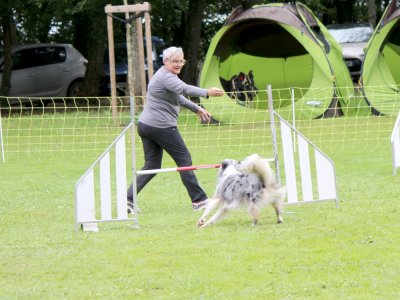 Concours d'agility,  les photos du dimanche