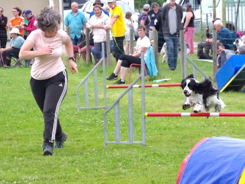 Concours d'agility, Montret, 23 juin 2024