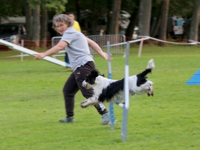 Concours d'agility,  les photos du dimanche
