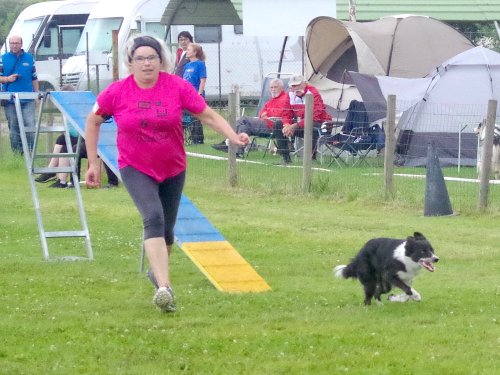 Concours d'agility, Montret, 23 juin 2024