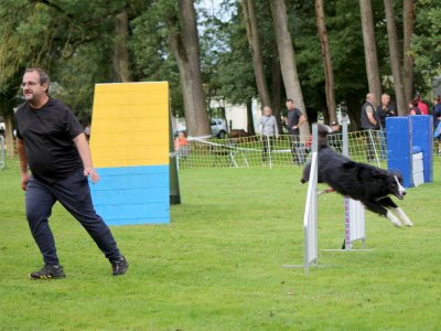 Concours d'agility,  les photos du dimanche