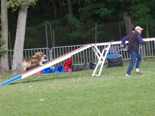 Concours d'agility, Châtenoy le royal 29 septembre 2024