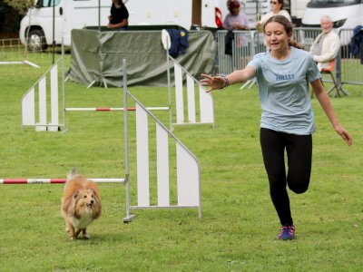 Concours d'agility, les photos du samedi