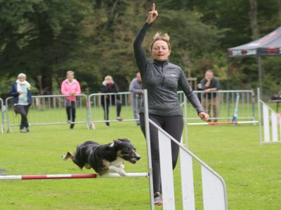 Concours d'agility, les photos du samedi