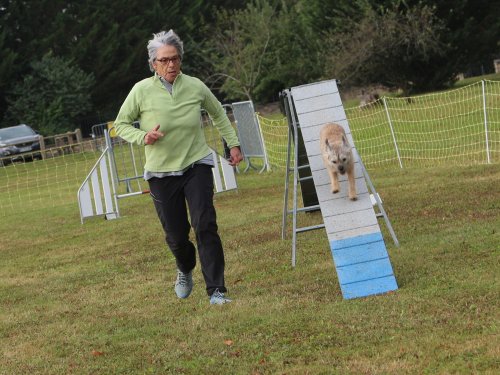 Concours d'agility, Fontaines 14 et 15 septembre 2024