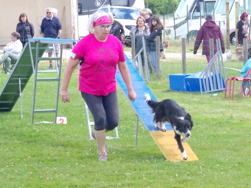 Concours d'agility, Montret, 23 juin 2024