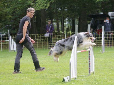 Concours d'agility, les photos du samedi