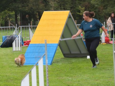Concours d'agility, les photos du samedi