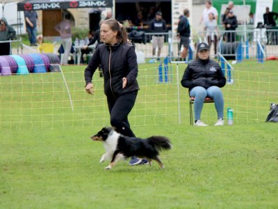 Concours d'agility,  les photos du dimanche
