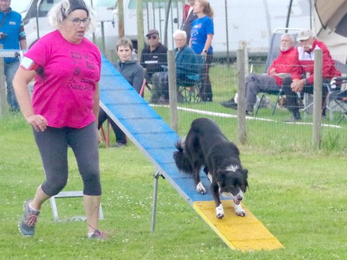 Concours d'agility, Montret, 23 juin 2024