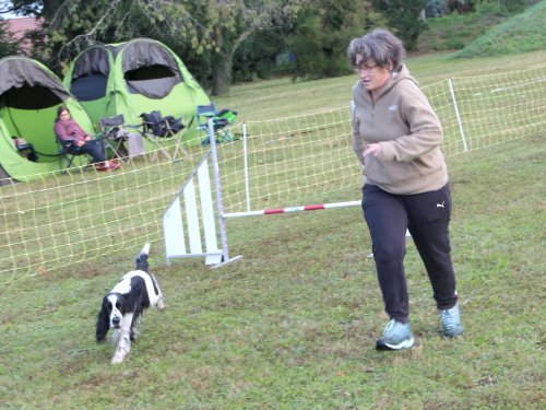 Concours d'agility, Fontaines 14 et 15 septembre 2024